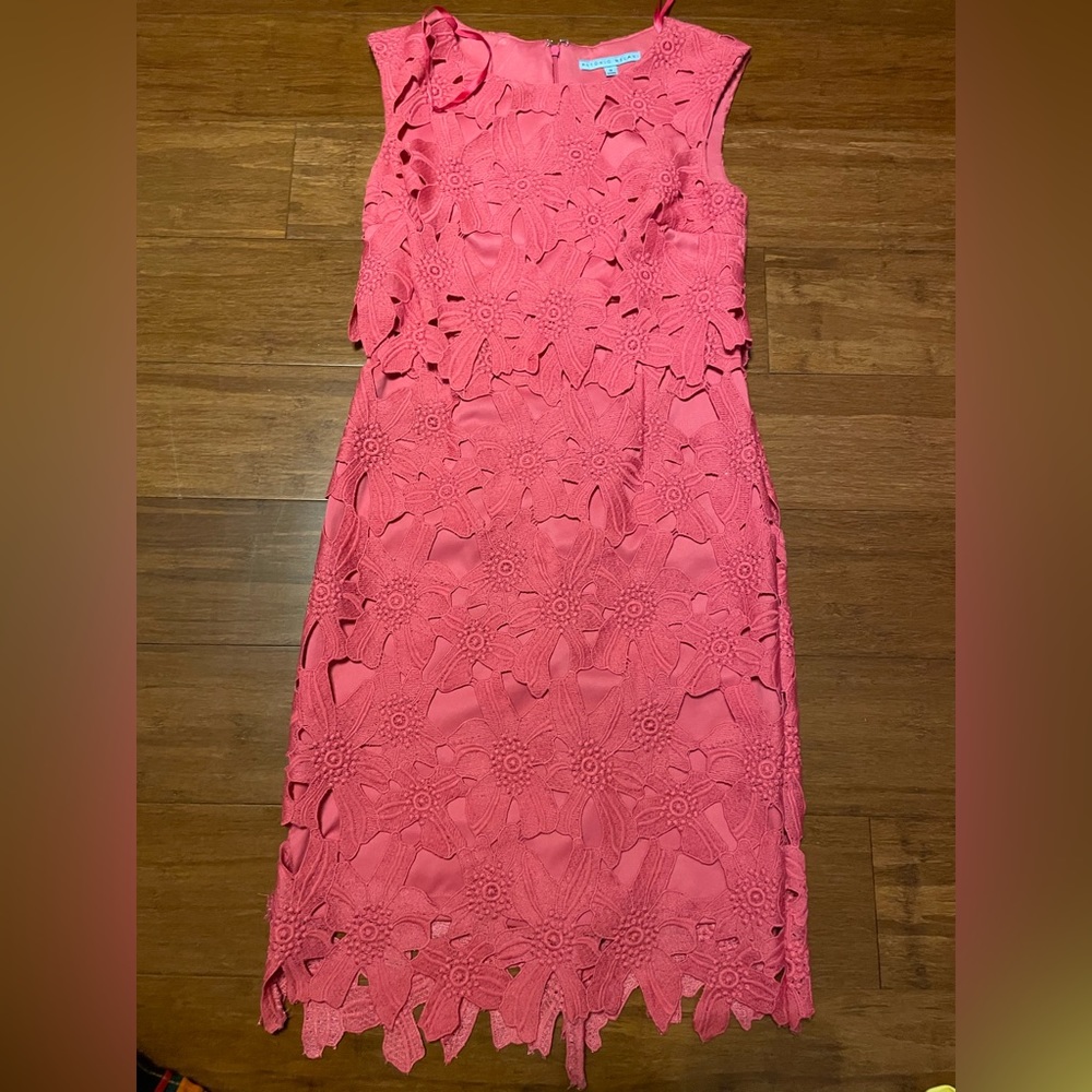 Hot pink Antonio Melani dress size 0 size small perfect condition